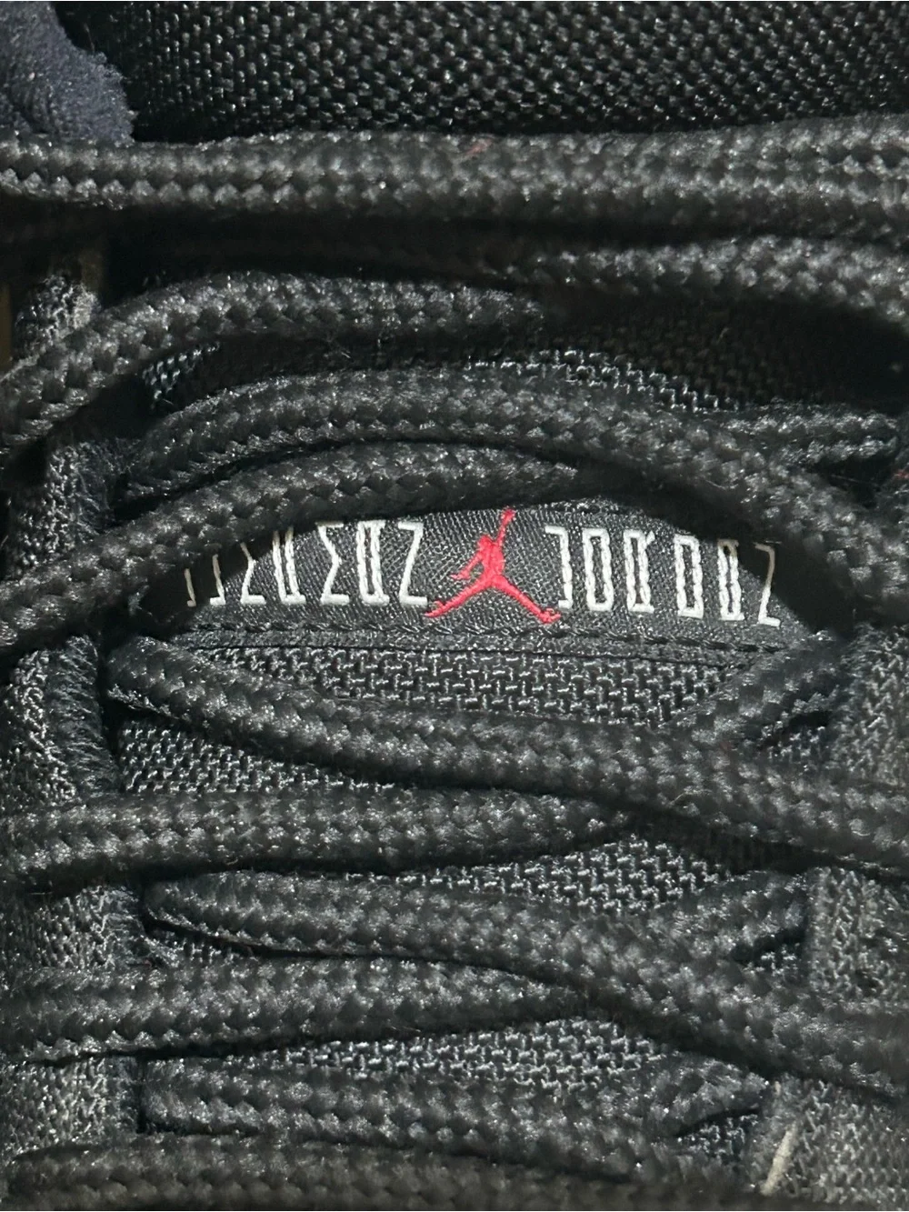 Size 12 Jordan 1 Retro 95 Bred 616369-001